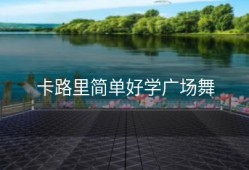 卡路里简单好学广场舞