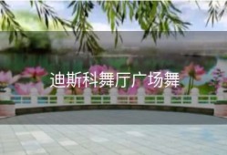 迪斯科舞厅广场舞