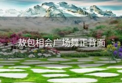 敖包相会广场舞正背面