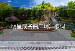 明星成名曲广场舞歌词