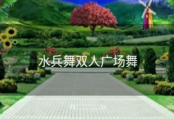 水兵舞双人广场舞