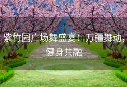 紫竹园广场舞盛宴：万疆舞动，健身共融