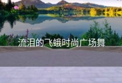 流泪的飞蛾时尚广场舞