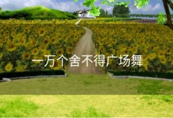 一万个舍不得广场舞