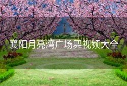 襄阳月亮湾广场舞视频大全