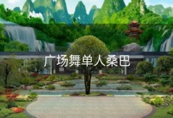 广场舞单人桑巴