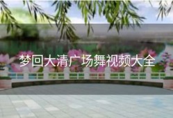 梦回大清广场舞视频大全