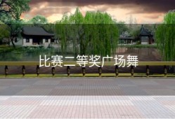 比赛二等奖广场舞