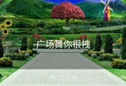 广场舞你很拽