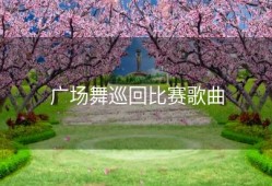 广场舞巡回比赛歌曲
