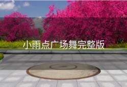 小雨点广场舞完整版