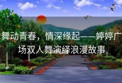 舞动青春，情深缘起——婷婷广场双人舞演绎浪漫故事