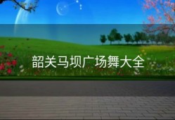韶关马坝广场舞大全