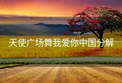 天使广场舞我爱你中国分解