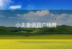 小夫妻俩跳广场舞