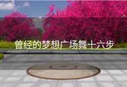 曾经的梦想广场舞十六步