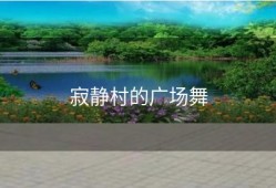 寂静村的广场舞