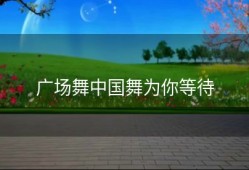 广场舞中国舞为你等待