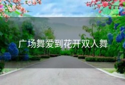 广场舞爱到花开双人舞