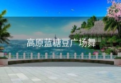 高原蓝糖豆广场舞