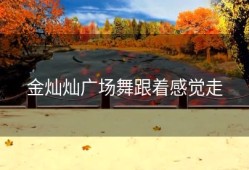 金灿灿广场舞跟着感觉走
