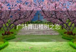 广场舞山楂树之恋