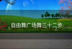 自由舞广场舞三十二步