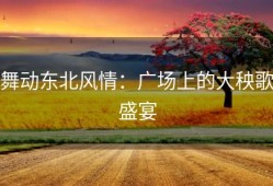 舞动东北风情：广场上的大秧歌盛宴