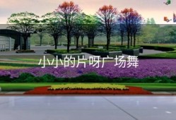 小小的片呀广场舞