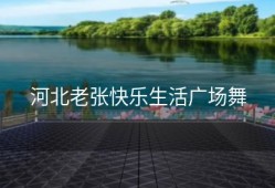 河北老张快乐生活广场舞