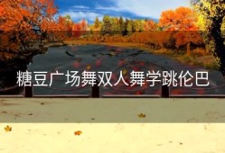 糖豆广场舞双人舞学跳伦巴