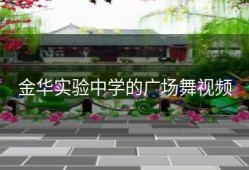 金华实验中学的广场舞视频