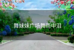 舞妹妹广场舞雨中泪