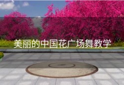 美丽的中国花广场舞教学