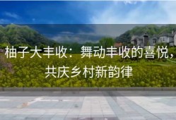 柚子大丰收：舞动丰收的喜悦，共庆乡村新韵律