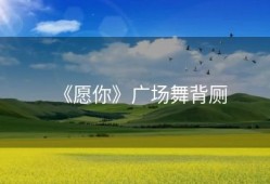 《愿你》广场舞背厕