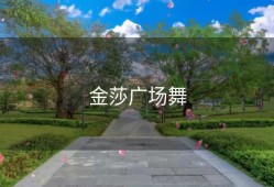 金莎广场舞