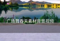 广场舞春天素材背景视频
