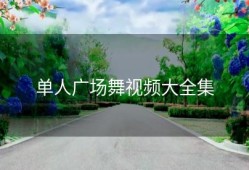 单人广场舞视频大全集