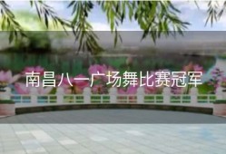 南昌八一广场舞比赛冠军