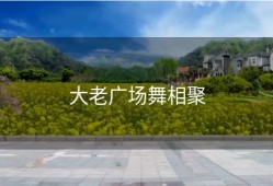 大老广场舞相聚