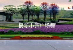 最新小芳广场舞