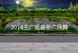2014王广成最新广场舞