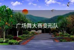广场舞大赛变形队
