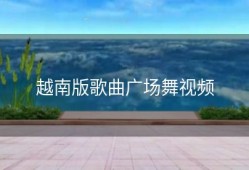 越南版歌曲广场舞视频