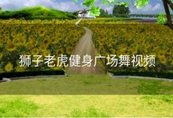 狮子老虎健身广场舞视频