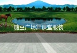 糖豆广场舞课堂服装