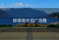 蚌埠雨中泪广场舞