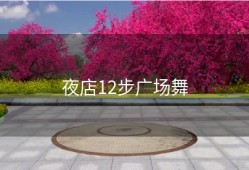 夜店12步广场舞