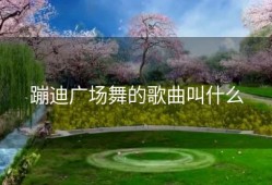 蹦迪广场舞的歌曲叫什么